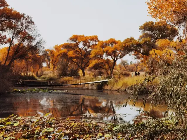 瞎球转2025之二——生而千年不死，死而千年不倒，倒而千年不朽