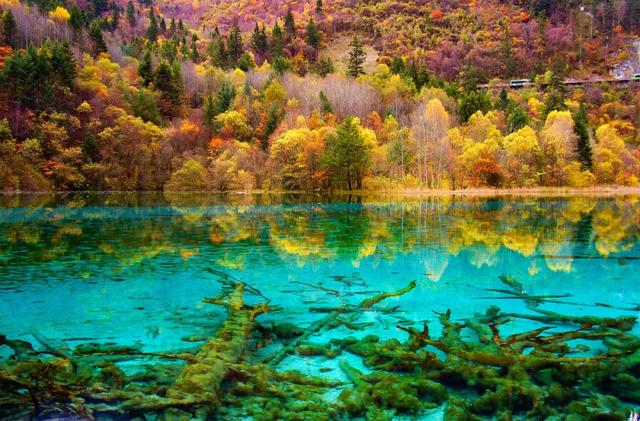 九寨沟的网红烤肠,打了多少景区的脸?