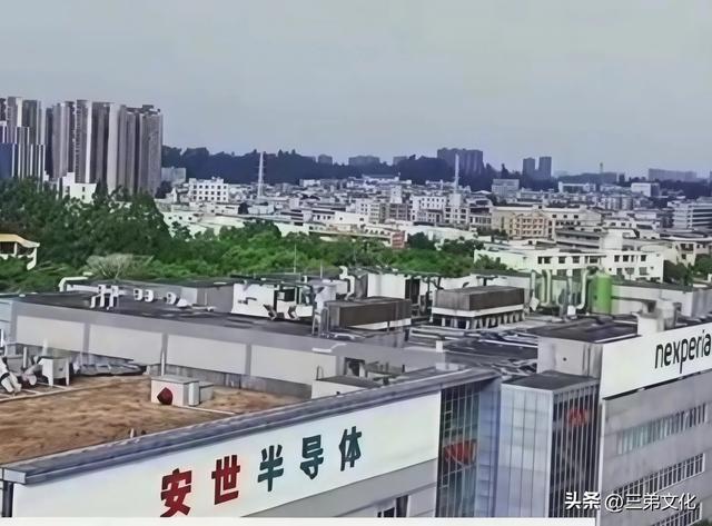 1次文明反击，让两强盗犯傻：从安世半导体事件看全球秩序的重构