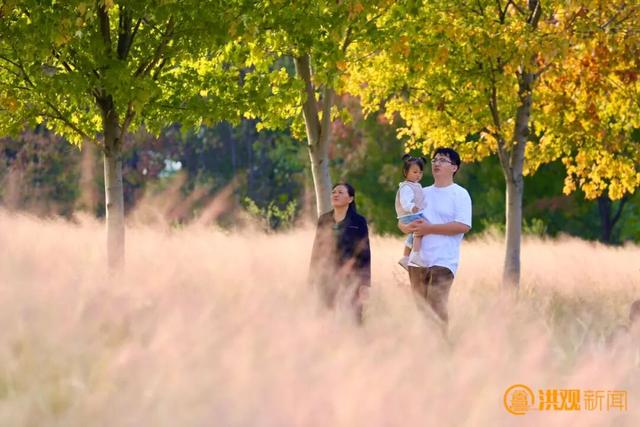 来南昌，打卡秋日限定 “枫” 景！