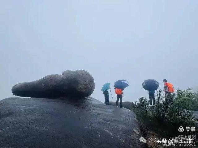 4A级免费景区徒步+避世绝美古村探幽，温州一日游的绝佳选择！