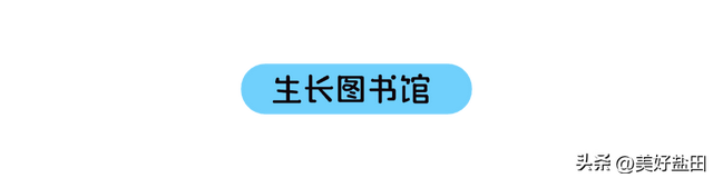 盐田，你也太会了！一天带娃穿越海洋、魔法和未来！
