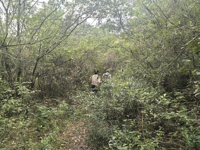 南京汤山龙尚湖青龙山佘村一日郊野徒步