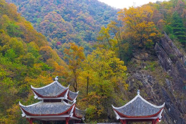 神农架秋色终极指南：这样玩，从入门到精通！