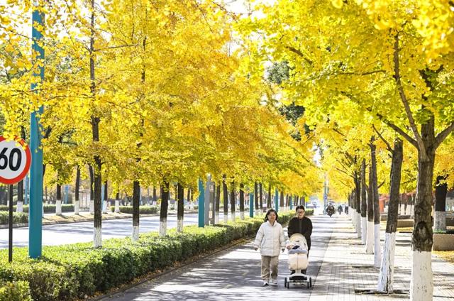 20个点位已公布!张家港人拍照请抓紧