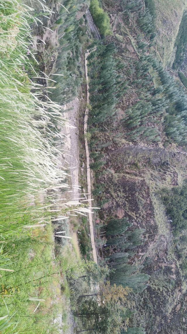 爬拉萨南山公园