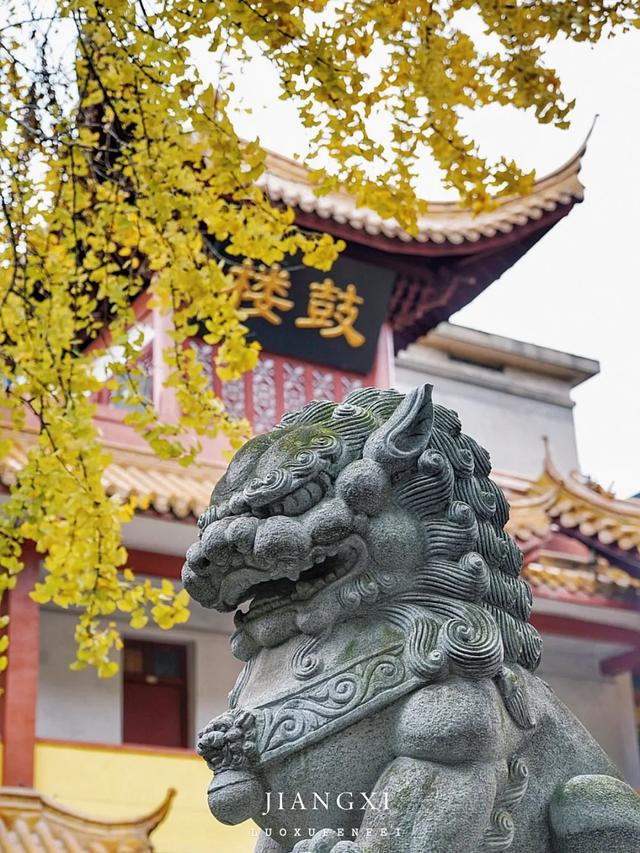 赏山水美景、品千年历史、探革命精神！南昌，我又来了！