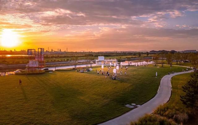 答应我，这个秋天一定要来日照！