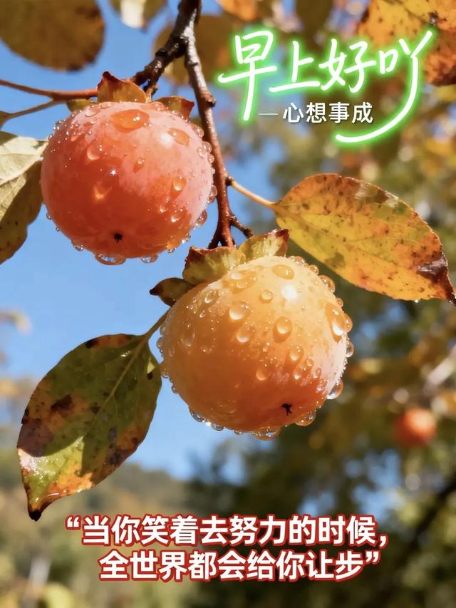 当你笑着去努力的时候，全世界都会给你让步