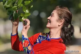 手机拍片：变焦之中有玄机，选准倍率更高级图片