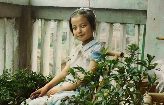 拔出萝卜带出泥！49岁赵薇近况被曝，原来“封杀”只是冰山一角