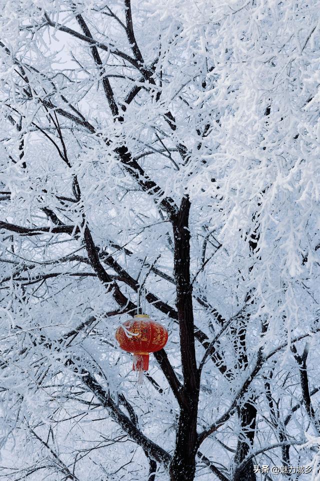 冬天别宅家！这5个宝藏目的地，避寒赏雪承包你所有浪漫