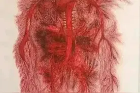 失血过多是如何导致人死亡的图片