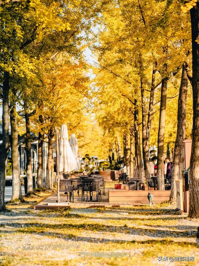 建邺5大封神赏景地,错过再等一年