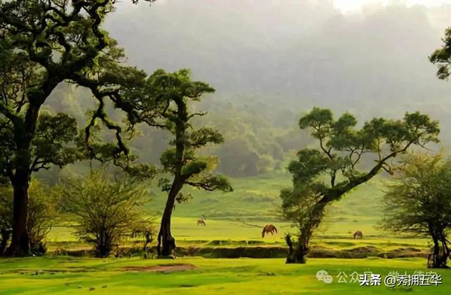 旅居云南｜德宏，是你安放身心、享受生活的最佳过冬地！