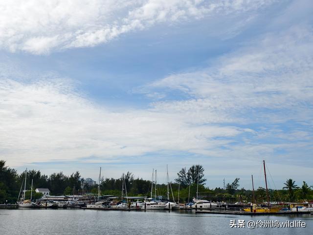 马来西亚(33)砂拉越州⑦美里市加拿大山、海滨公园等