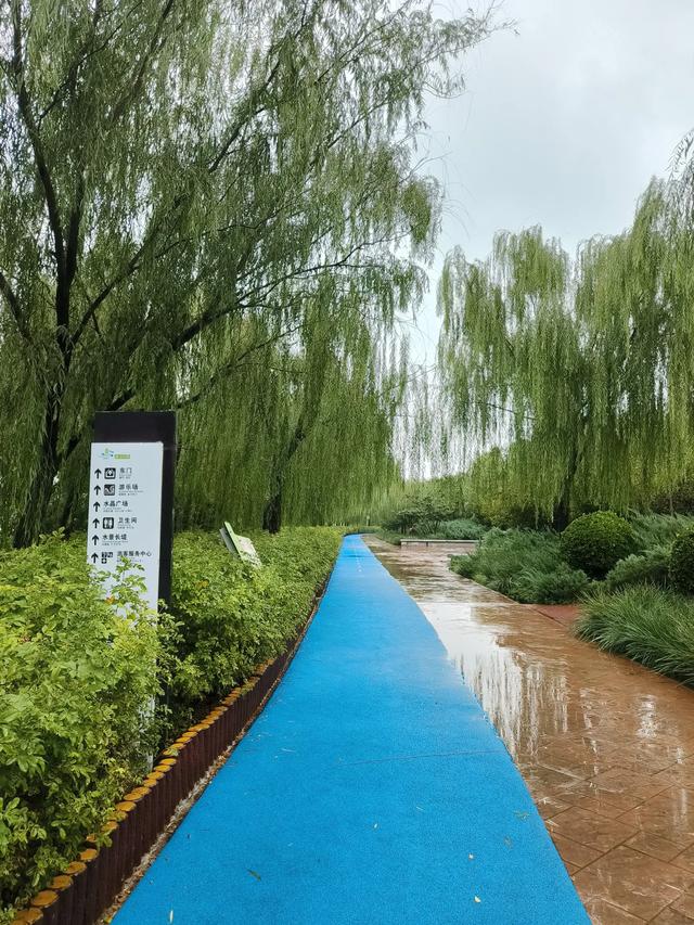 天津小雨中的《水上公园》