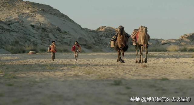 和方大侠一起种梭梭树吧