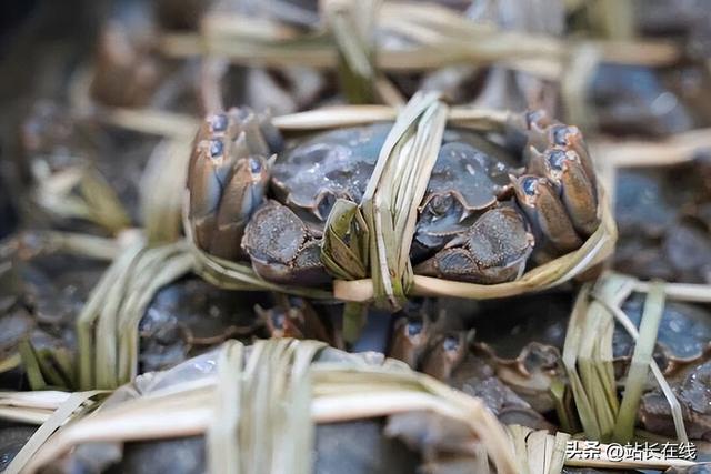三大特色IP“出圈” 这个假期七都“火力”全开