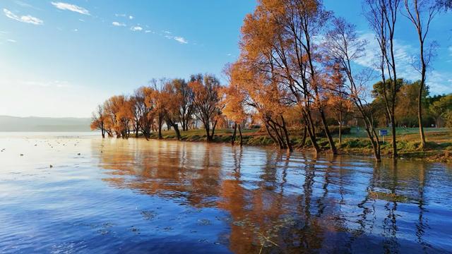 在大理，这个落叶像雪的季节