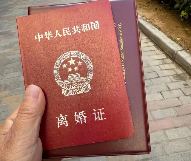 16万没白花！为旅游离婚的苏敏，成家庭主妇的楷模！面相都变了