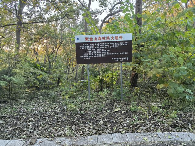 南京紫金山郊野徒步