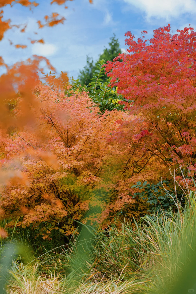 超美超震撼！舍不得公开的徒步秘境N0.1，就在成都金堂！