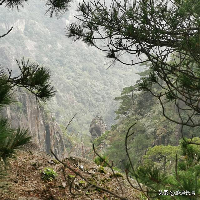 &062.黄山四日游（一）