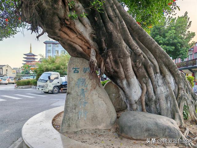 逛揭阳古城，揭阳学宫真热闹，双峰寺的楼真高