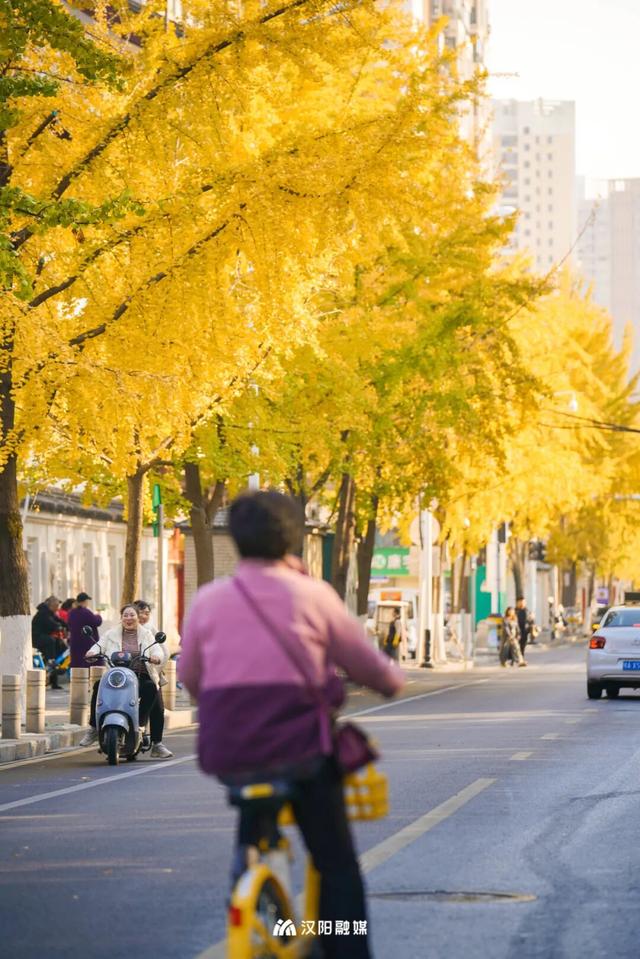 在汉阳的秋天，捡出一个灵感宝库