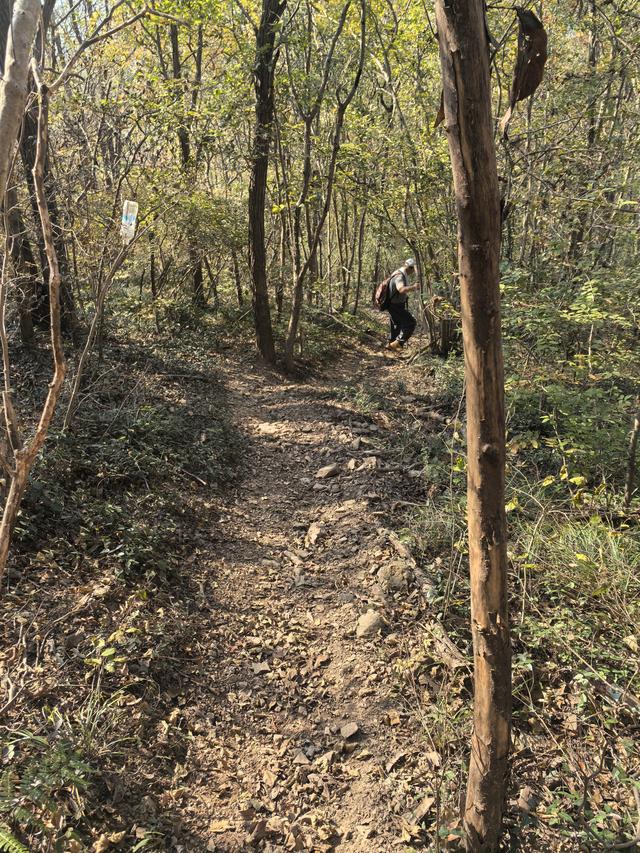 南京龙尚湖，大连山，佘村一日郊野徒步