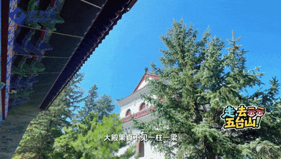 走，去五台山！| “解码古建”·时光深处的匠心