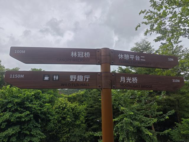 西丽湖国际科教城绿道高清随拍