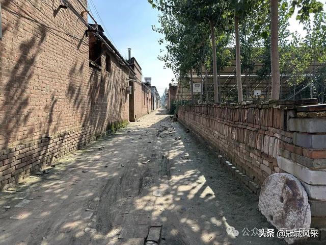 冠县乡韵·兰沃乡大柳邵村