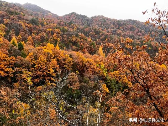 车过神农架【原创】作者:原铁十师陶玉和