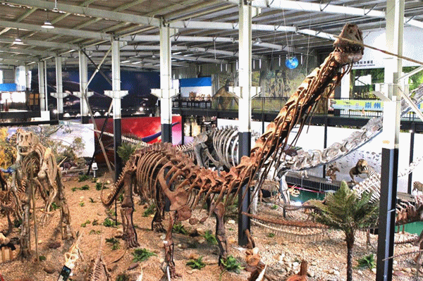 秋假去哪？崇州这些亲子游宝藏地不容错过