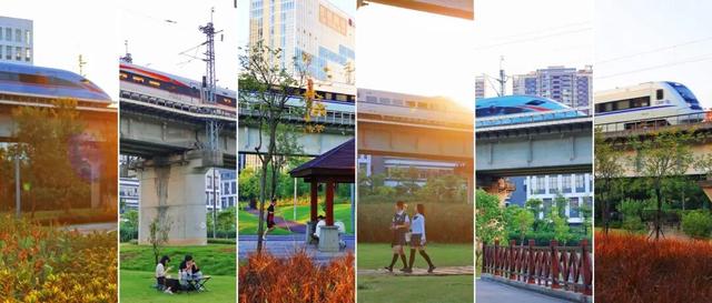 三条高铁并行！桥下还有“宝藏”，等你发现！