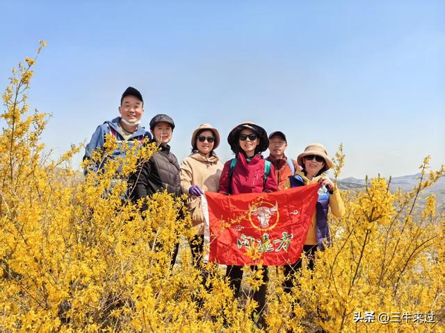 无为在歧路，2025之经行