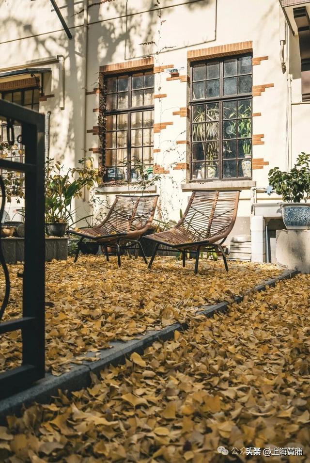 深秋限定！这条百年弄堂里尽是金色的浪漫！