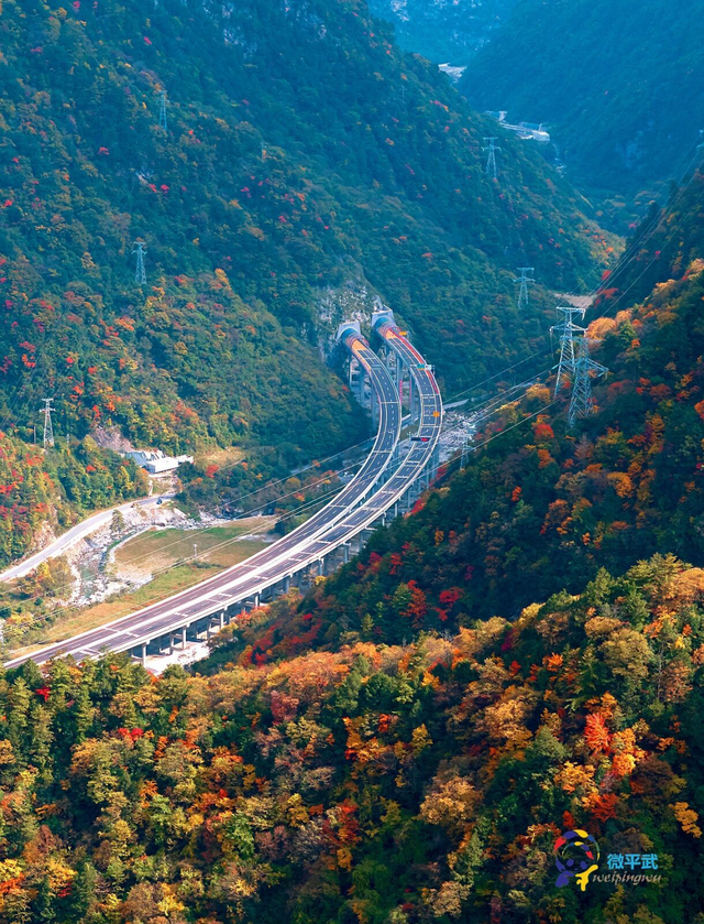 走不出这画了，我已被平武的彩林迷倒！