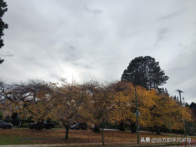 温哥华游记（五）