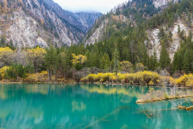 光影札记 | 秋染九寨：一半湖水蓝，一半山林红