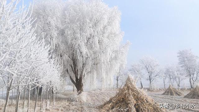 今冬最冷时间表出炉了，啥时候最冷？2026年春节冷不冷？早了解