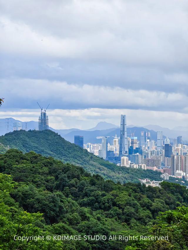 深圳徒步！超适合新手小白的3条郊野径路线，地铁公交直达还免费