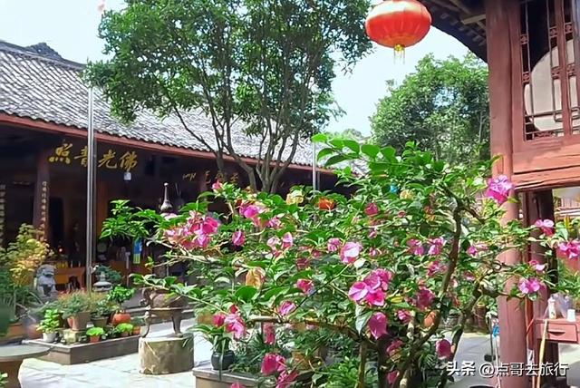 成都邛崃低调的花园寺庙，充满人间烟火，高铁公交直达！