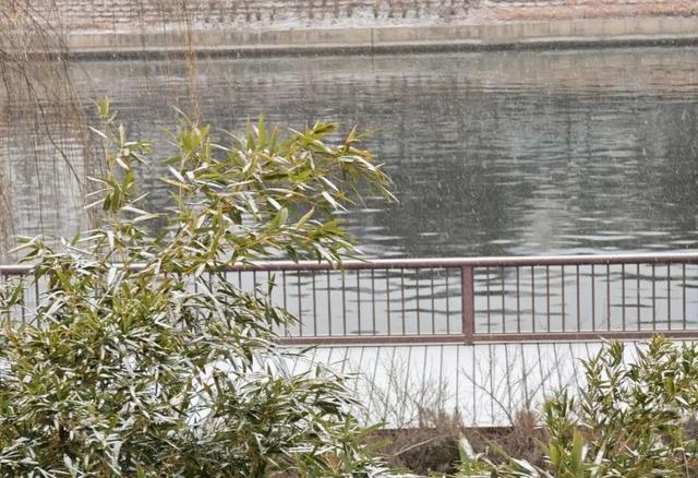 北京通州最新雪景实拍,美图送上~