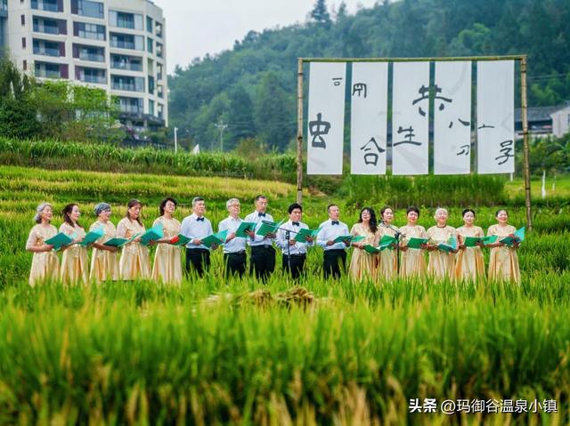 玛御谷康养旅居文化周暨腾冲第八届稻花鱼节盛大开幕