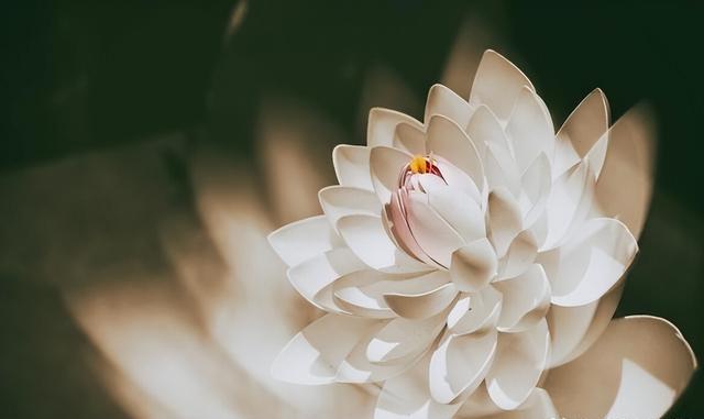 一个残忍预感：将来50后60后不在了，恐怕坟头没有人清明节烧纸了