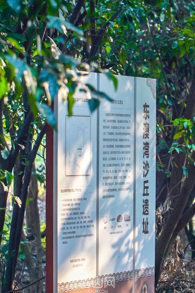 珠海5000年沙丘遗址秘境，免费开放！