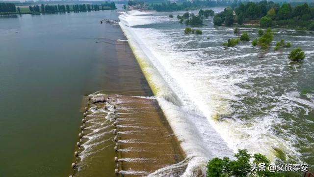 “北方都江堰”！秋日阳光洒在戴村坝，碎成万点金光！